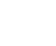 Evolution games at Fortune Spin Casino